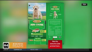 Dog food recalled due to potential salmonella contamination [upl. by Annecorinne]