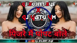 PINJAREMEINPOPATBOLEDJ SUJEET SVS X Dj Vistu VM production CWA mp3 song [upl. by Fairfax]