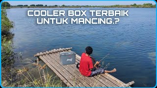 Unboxing amp Quick Review Marina Cooler Box 18s 16 Liter ‼️ coolerbox marina unboxing review [upl. by Wedurn923]