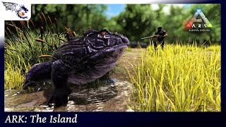 Leeches Make Taming A Beelzebufo In The Swamp A Bit Difficult  ARK The Island 30 [upl. by Gretel]