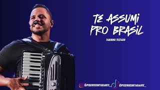 TE ASSUMI PRO BRASIL  FABINHO TESTADO [upl. by Florie]