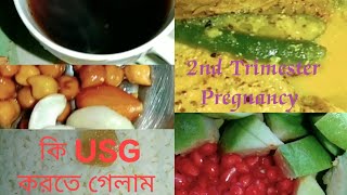 10 🥰 ।।2nd Trimester Pregnancy।। সময়ের মধ্যেই এই USG করাটা খুব গুরুত্বপূর্ণ।।Bengali Vlog Videos [upl. by Jessy]