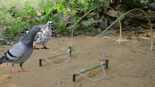 Creative Unique Bird Trap Using Bamboo  Fantastic Easy Bird Trap [upl. by Ardin]