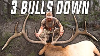 Wyoming Public Land Elk Hunt 3 bulls down [upl. by Lukasz]