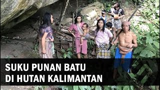 Begini Tradisi Hidup Suku Punan di Pedalaman Hutan  Penjaga Hutan Kalimantan [upl. by Hashim]