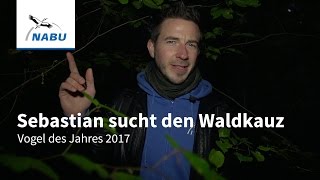 Der Waldkauz Vogel des Jahres 2017 [upl. by Nyletak]