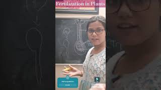 Fertilization in Plants cbseclass10 biology reproductioninplants [upl. by Meade]