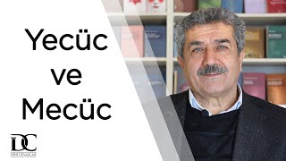 Yecüc ve Mecüc kimdir Türkler olabilir mi  Tuncer Namlı [upl. by Llertal]