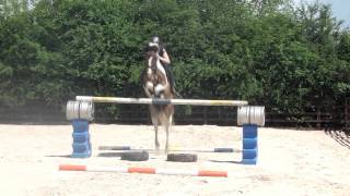 Jumping 1m30 no stirrups [upl. by Guarino]