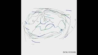 Dog Fossil The Impossible Silence Full Album [upl. by Prevot441]