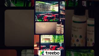 Treebo Serenit Hotel [upl. by Naasah]