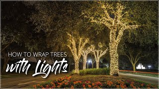 How To Wrap Trees With Lights [upl. by Aneladgam]