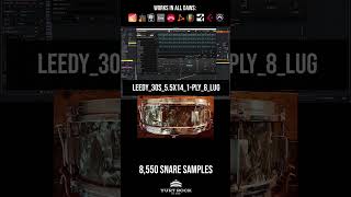 Introducing The Largest Vintage Snare Sample Library In The World vintagedrums drummer samples [upl. by Urial]