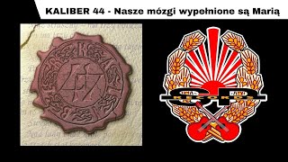 KALIBER 44  Nasze mózgi wypełnione sa Marią OFFICIAL AUDIO [upl. by Donn]