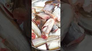 बरारी मछली 😋😋wallago fish prepare 😍😍food fish cooking [upl. by Ahsiekan]