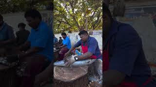 Amazing fish cutting style in tamil [upl. by Amiaj]