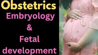 Embryology and fetal developmentobstetrics medical nursing [upl. by Enegue435]