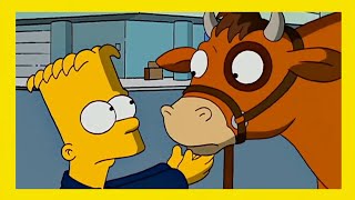 El Día que Bart Cuidó un Becerro  Los Simpsons Capitulo Completo [upl. by Ydnir]