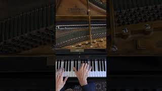 Chopin  FantaisieImpromptu Op 66 [upl. by Ymassej]