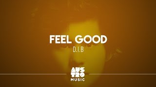 DIB  Feel Good [upl. by Eahs]