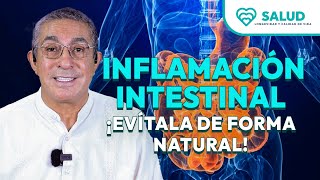 Inflamación Intestinal Crónica Causas y Soluciones para Mejorar tu Salud Digestiva [upl. by Tuinenga]