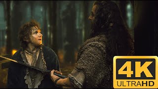 Thorin Confronts Bilbo  The Hobbit  The Desolation of Smaug 4K HDR [upl. by Gnol]