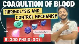 Coagulation Blood Physiology  Blood Physiology  Coagulation Cascade Animation  Physiology [upl. by Sylado784]