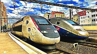 GARE de MONTPELLIER  SAINTROCH  COMPILATION de TRAINS TGV OUIGO TER FRET [upl. by Elehcir689]