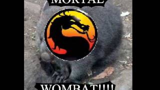 Mortal Wombat [upl. by Yenitsed]