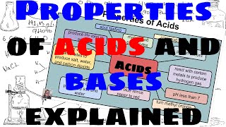 Properties of Acids and Bases [upl. by Heindrick]