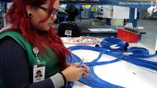 Wire Harness Assembly at McCains TJ Facility [upl. by Hayikaz]