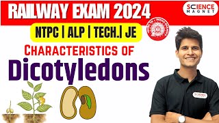 Railway Exams 2024 🎯 RRB ALPTechJENTPC Characteristics of Dicotyledons neerajsir sciencemagnet [upl. by Ginny]