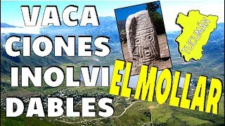 Cumbres Calchaquíes El Mollar Tucumán como nunca antes Parte 1 [upl. by Adian]