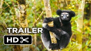 DreamWorks Madagascar  Funny Lemur Moments  Madagascar Movie Clip [upl. by Adierf]