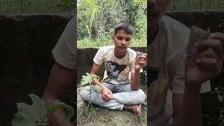 Bards in thif funny comedy viralshort tranding popluer [upl. by Pazit629]