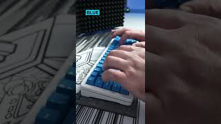 Akko V3 Cream Blue vs Akko V3 Cream Blue Pro Sound Test [upl. by Etana]