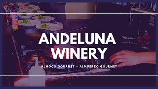 Andeluna Winery Mendoza Holidays Gourmet Tour [upl. by Nade201]