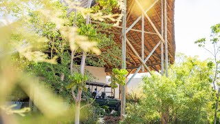 Bush Lodge at Chobe Safari Lodge [upl. by Korenblat813]