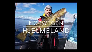 ANGELN IN SÜDNORWEGEN 1 HJELMELAND 2018 NORWEGEN OMBO  FISHING IN SOUTHNORWAY NORWAY URLAUB [upl. by Yrojram]