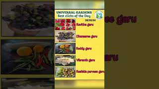 Best clips of harvesting from Universal Gardners organicgardens organic amazing organicfarming [upl. by Mixie]