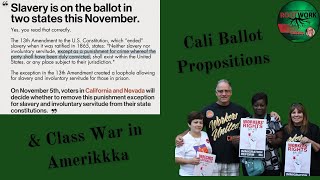 Rootwork CA Elections and Class War in Amerikkka [upl. by Dana82]