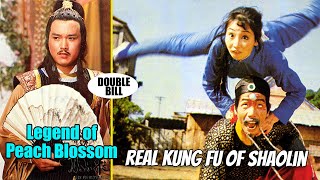 Wu Tang Collection  Real Kung Fu of Shaolin  Legend of Peach Blossom [upl. by Mercorr]