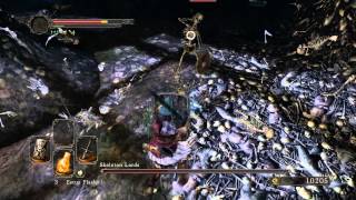 Dark Souls 2 Huntsmans Copse Skeleton Lords boss Walkthrough [upl. by Teador565]