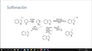 INDOLES 1ra PARTE [upl. by Cheshire162]