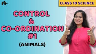 Control And Coordination Class 10 NCERT Chapter 7 1  Endocrine  Nervous system in Animals  CBSE [upl. by Baldridge]