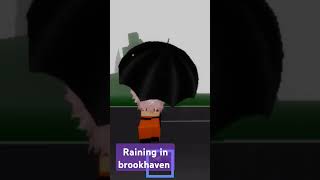 Lets get umbrella because its raining in brookhavenrp roblox [upl. by Nnyla]