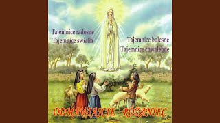 Tajemnice Światła Ustanowienie Eucharystii [upl. by Ethelind]