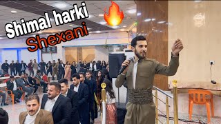 Shimal harki dawata bargaraiya l sheladze shexani2024شیمال هەرکی داوەتا بەرگارەیا ل شێلادزێ شێخانی [upl. by Dicky]