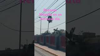 Pura raza jaladora reportense animoooo ya viene el aguinaldo [upl. by Nomelc]