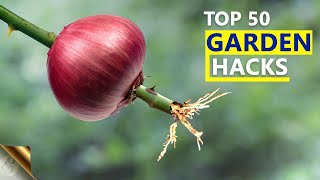 MY TOP 50 SECRET GARDENING IDEAS amp HACKS FOR BEGINNERS AND EXPERTS  GARDEN SECRETS [upl. by Lam593]